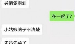 未婚先孕爆料视频大全最新,真实生活背后的情感纠葛与抉择