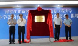 晨泉集团爆料最新消息视频