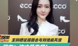 爆料视频不用剪辑吗,无需剪辑即成焦点